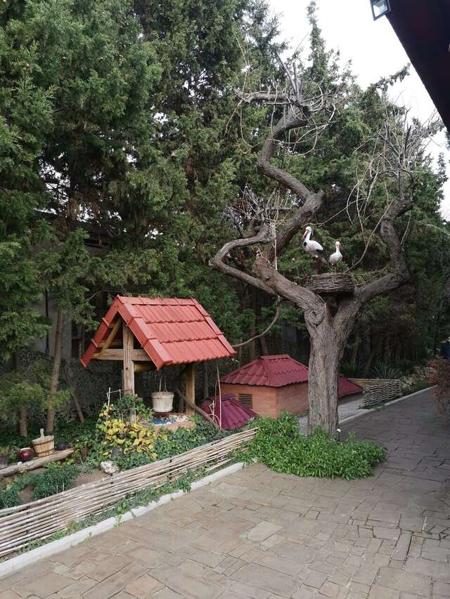 Гостиница Омега-клуб Севастополь-157