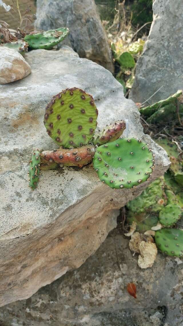 Гостиница Омега-клуб Севастополь-128