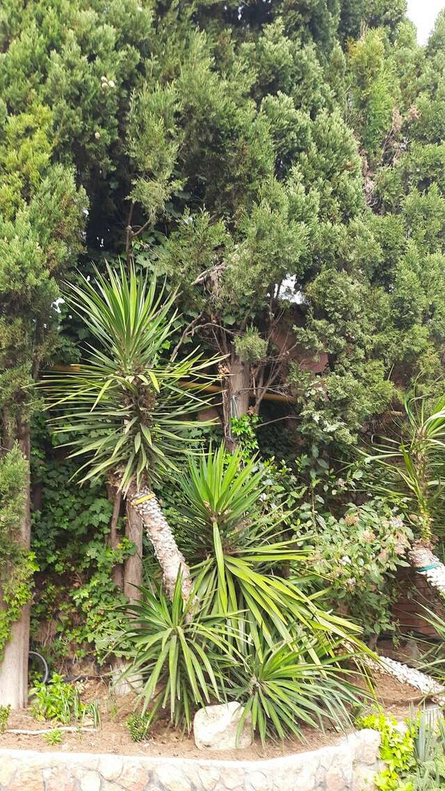 Гостиница Омега-клуб Севастополь-155