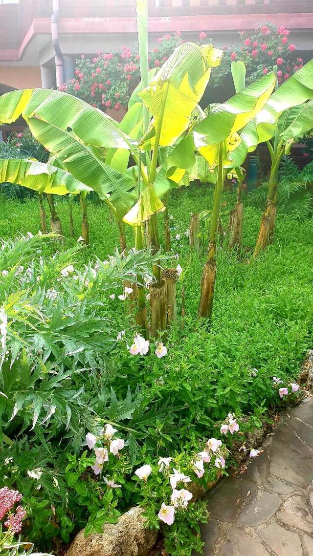 Гостиница Омега-клуб Севастополь-21