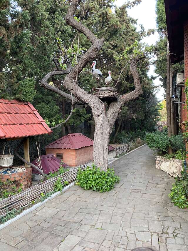 Гостиница Омега-клуб Севастополь-103