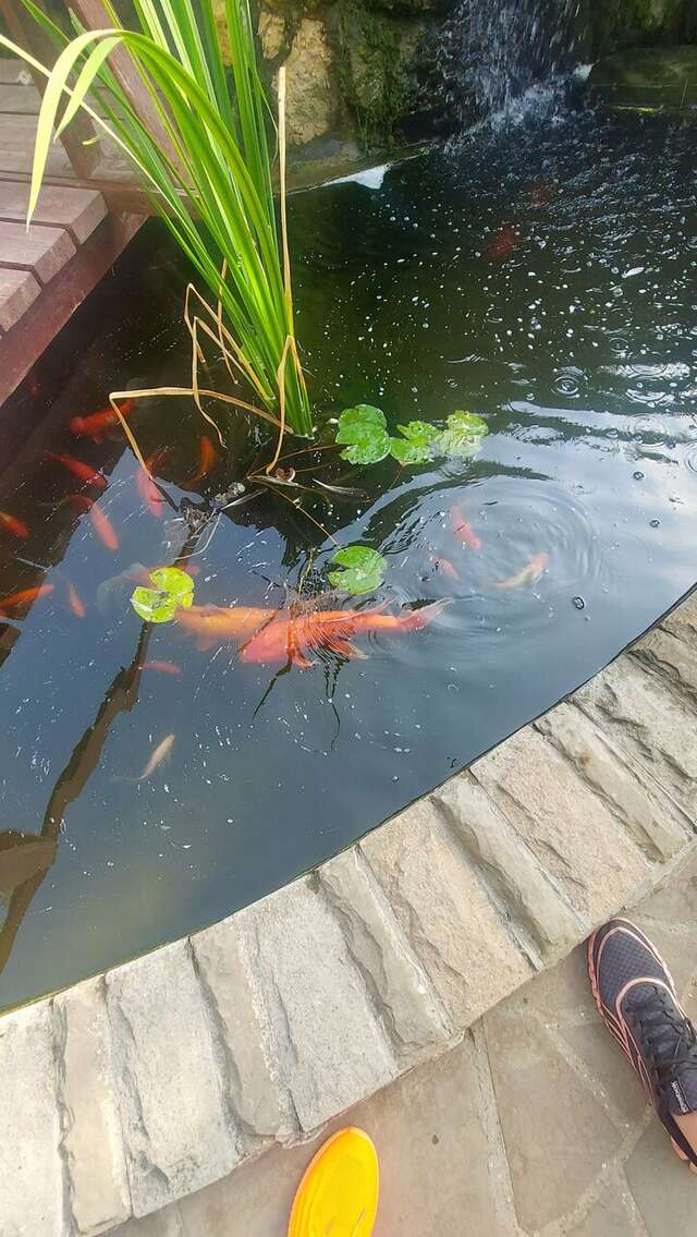 Гостиница Омега-клуб Севастополь-113