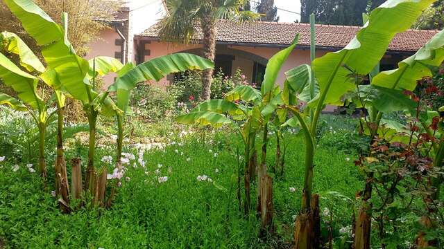 Гостиница Омега-клуб Севастополь-60