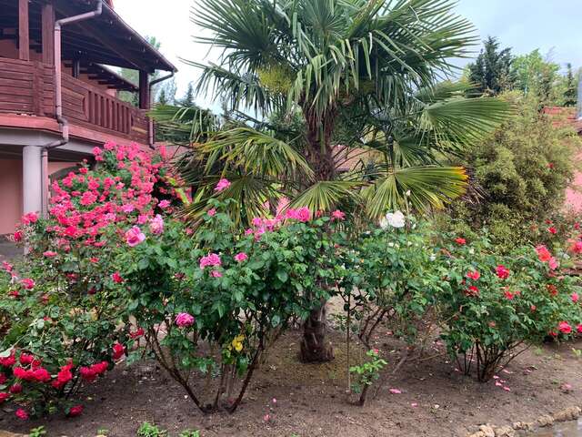 Гостиница Омега-клуб Севастополь-131